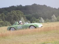 D-IMG 4574